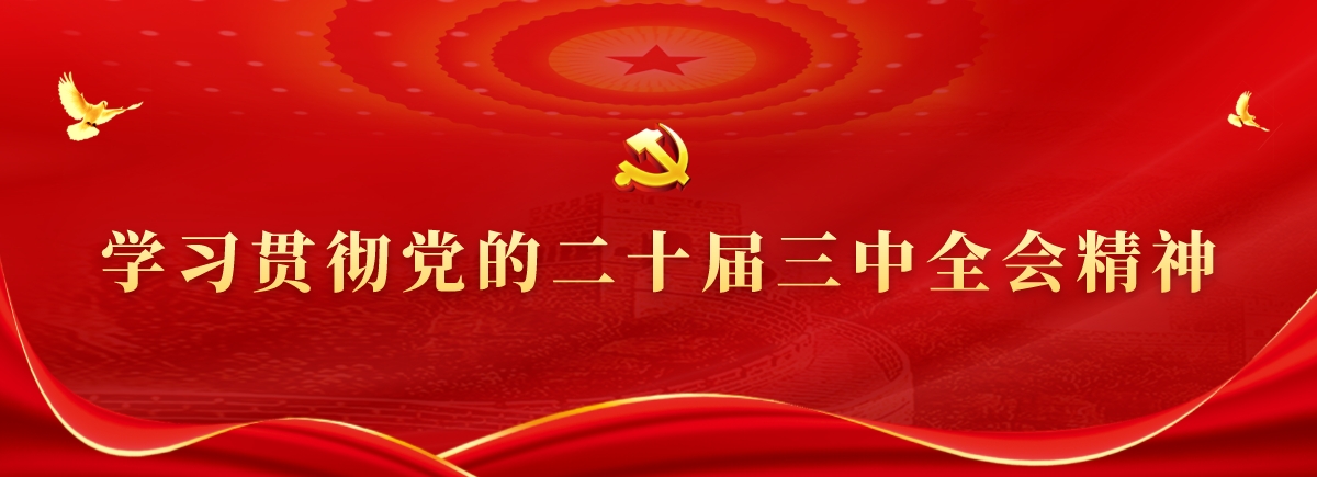 学习贯彻党的二十届三中全会精神